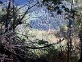 2005-11 WE Cevennes 096